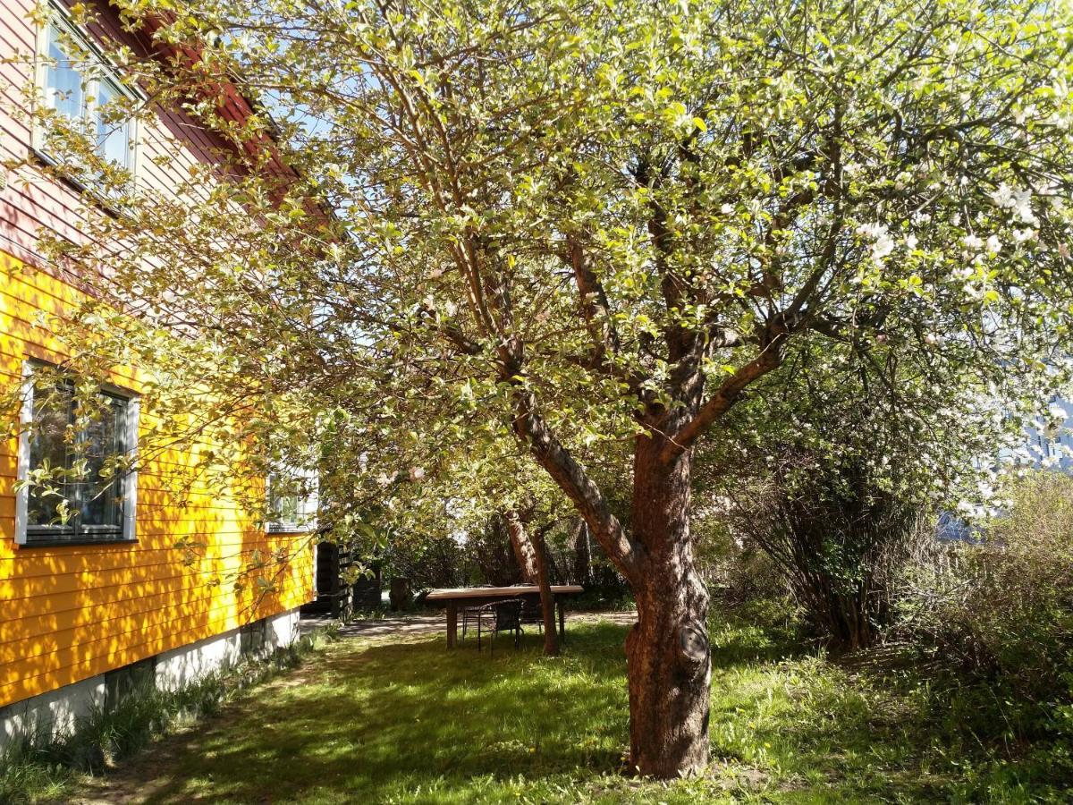 Renovated Semi- Basement 2 Bedrooms Furnished Apartment - Close To Everything In Moss Exterior foto